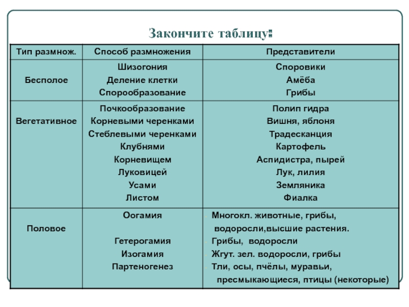 Актуальный домен кракена